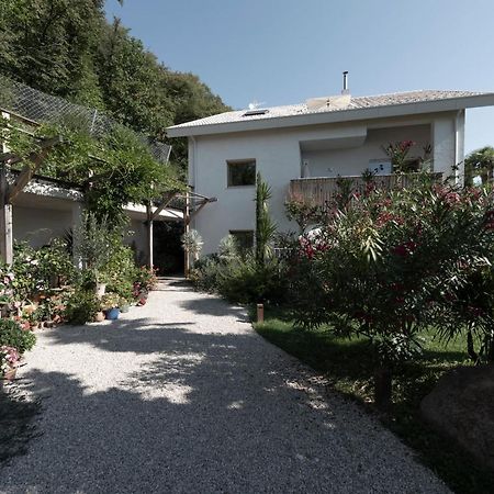 Apartmán La Loggia Georg Pianizza di Sopra Exteriér fotografie